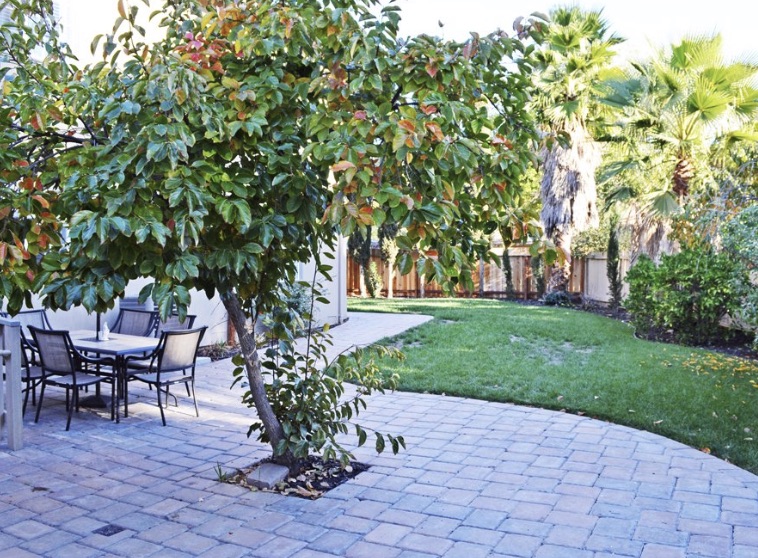 Backyard and patio at Peach Pl